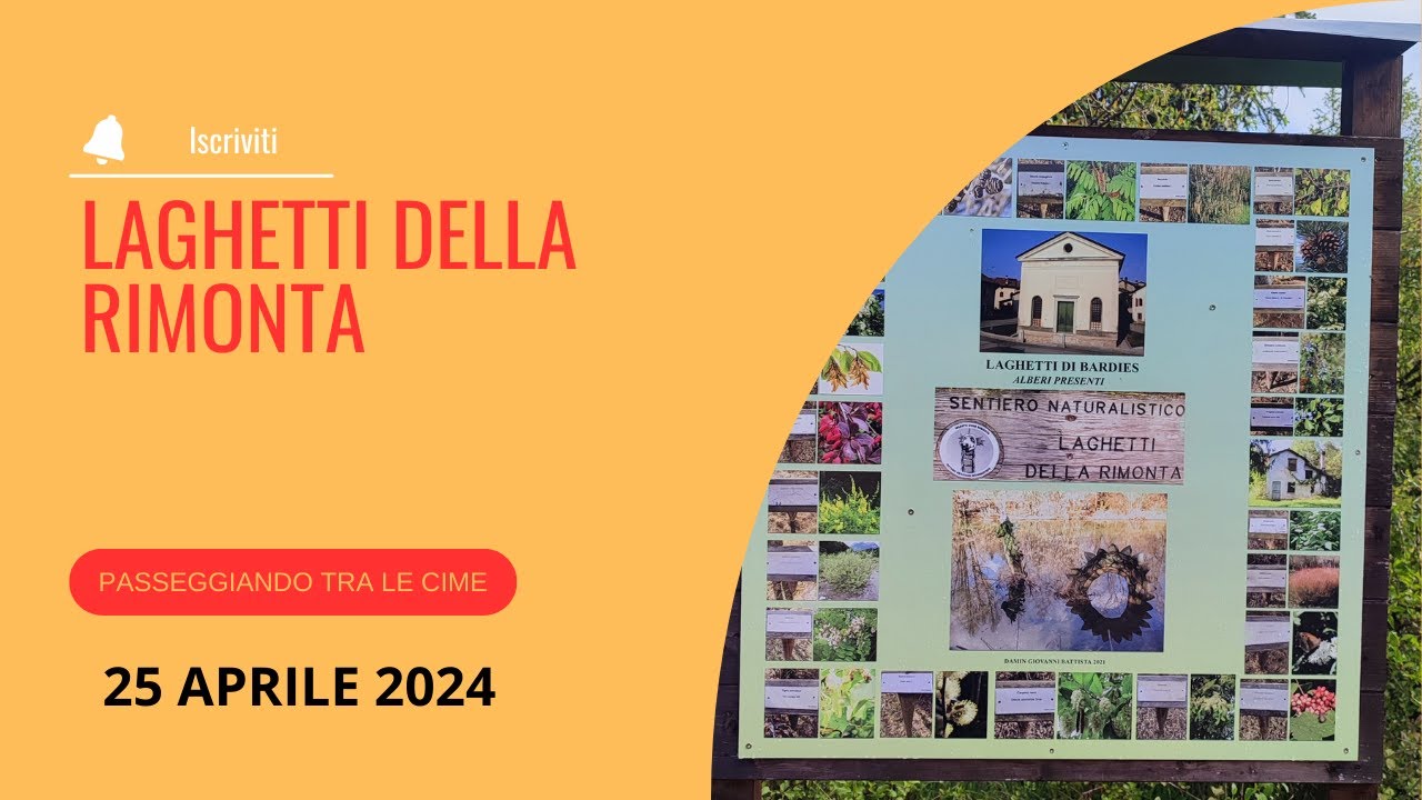 LAGHETTI DELLA RIMONTA