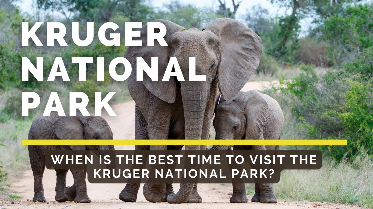 Kruger National Park - When is the best time to visit the Kruger National Park?