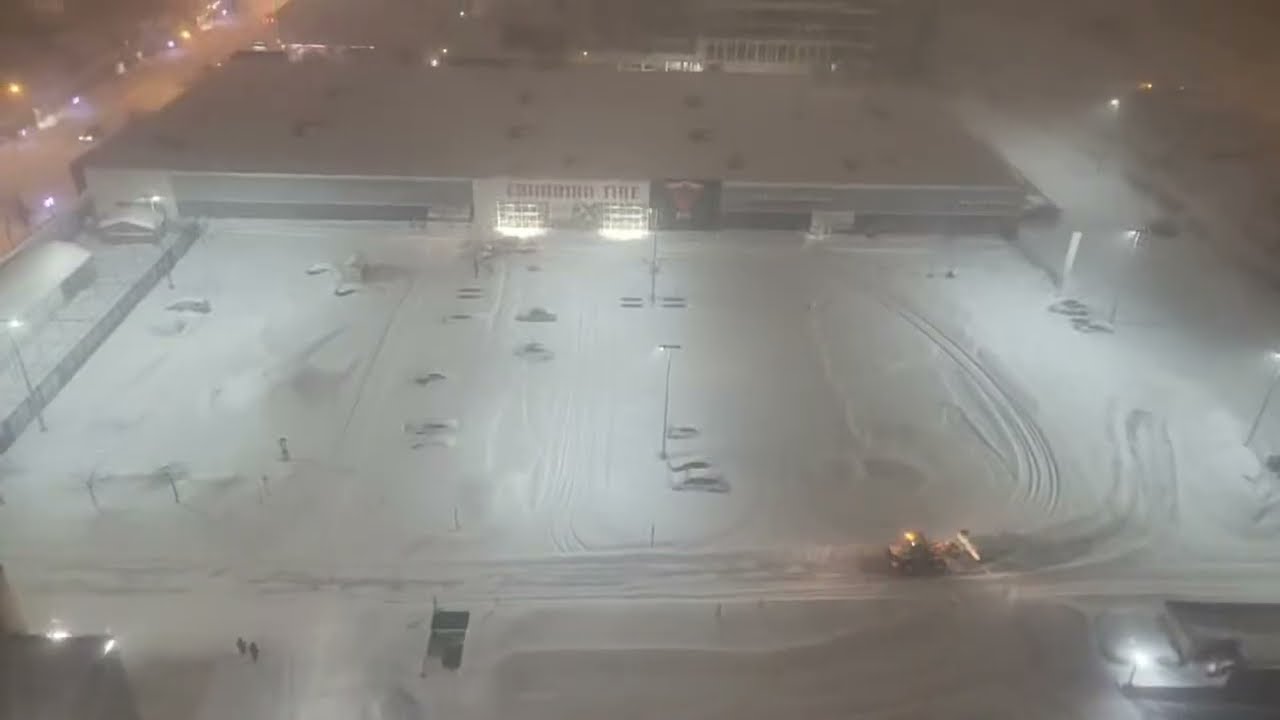 Snow view,