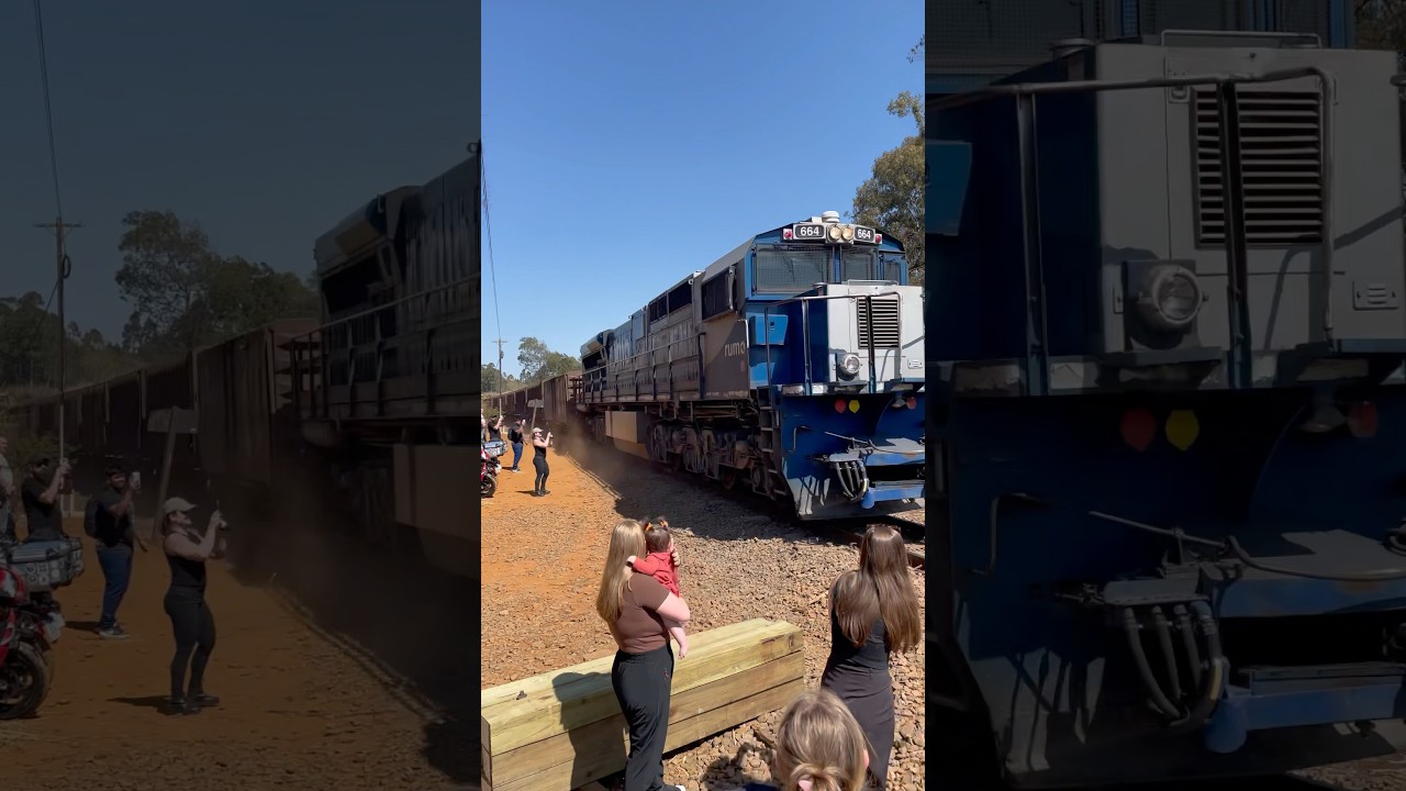 🚂 Trem se aproxima de viaduto gigante na Serra do Cadeado &ndash; Paran&aacute;