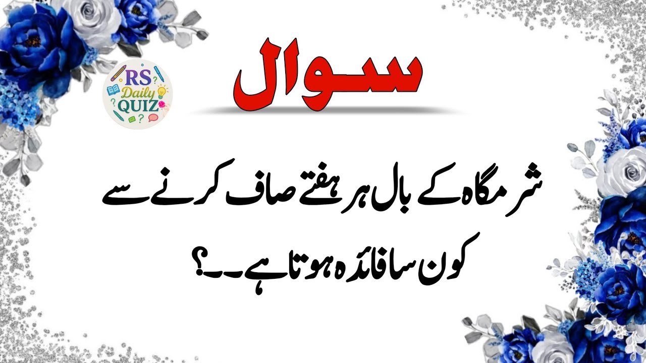 Sawal Jawab - Islamic Questions and Answers - Urdu Islami Paheliyan - RS Daily Quiz - RS  Quiz