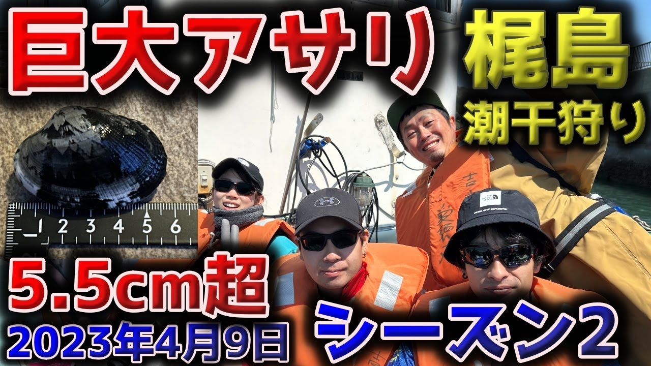 巨大アサリ！5.5cm超！梶島潮干狩り！2023年4月9日