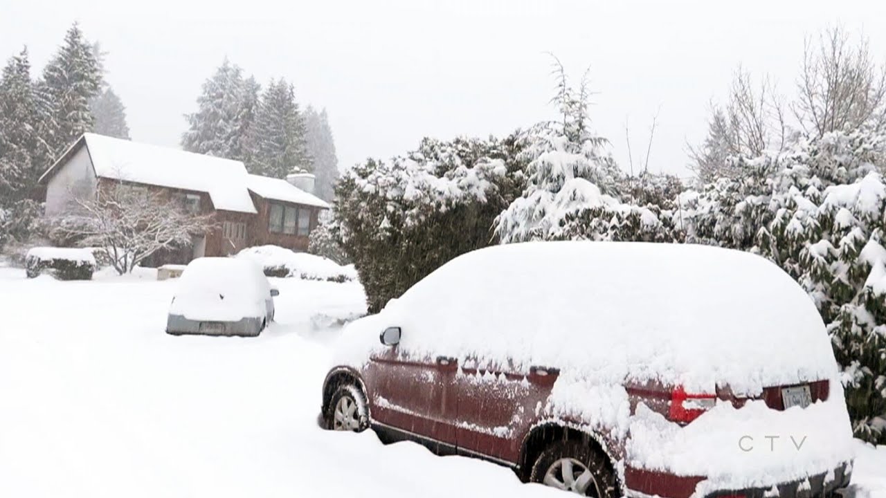 Winter storm snarls traffic and closes schools across British Columbia