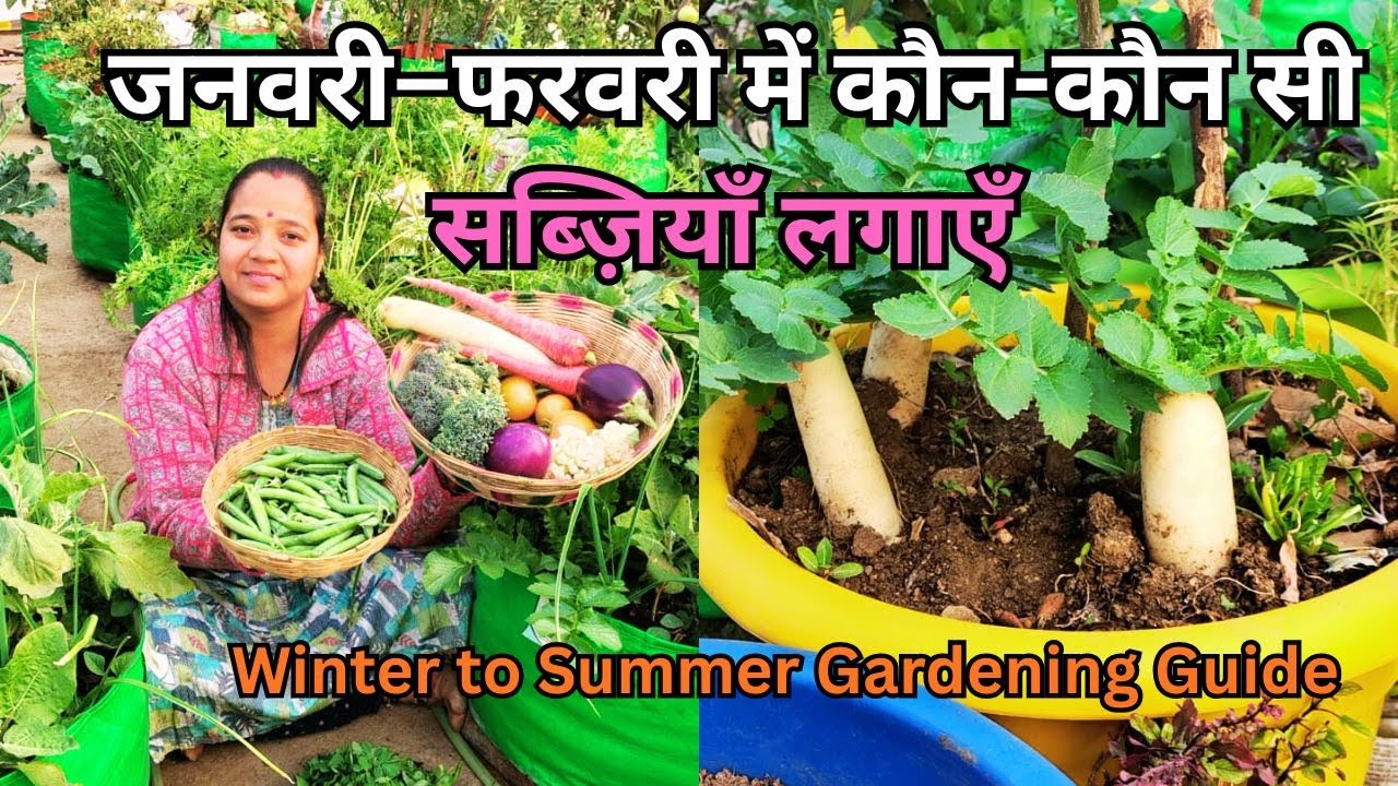 जनवरी–फरवरी में कौन-कौन सी सब्ज़ियाँ लगाएँ | Terrace & Kitchen Garden Guide