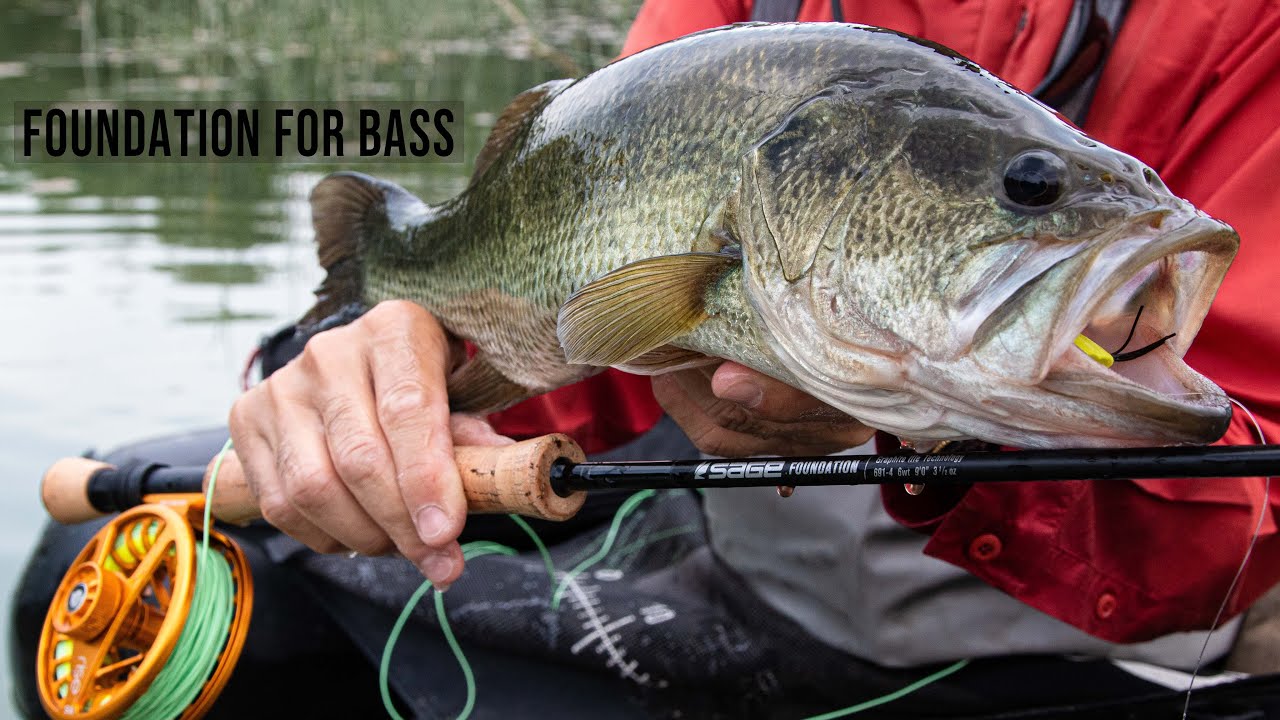 Sage Foundation for Bass - Paolo Pacchiarini topwater flyfishing for