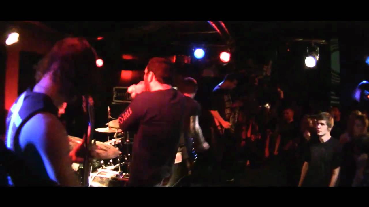 CARPATHIAN - 11/08/2010 - Hamburg/Germany