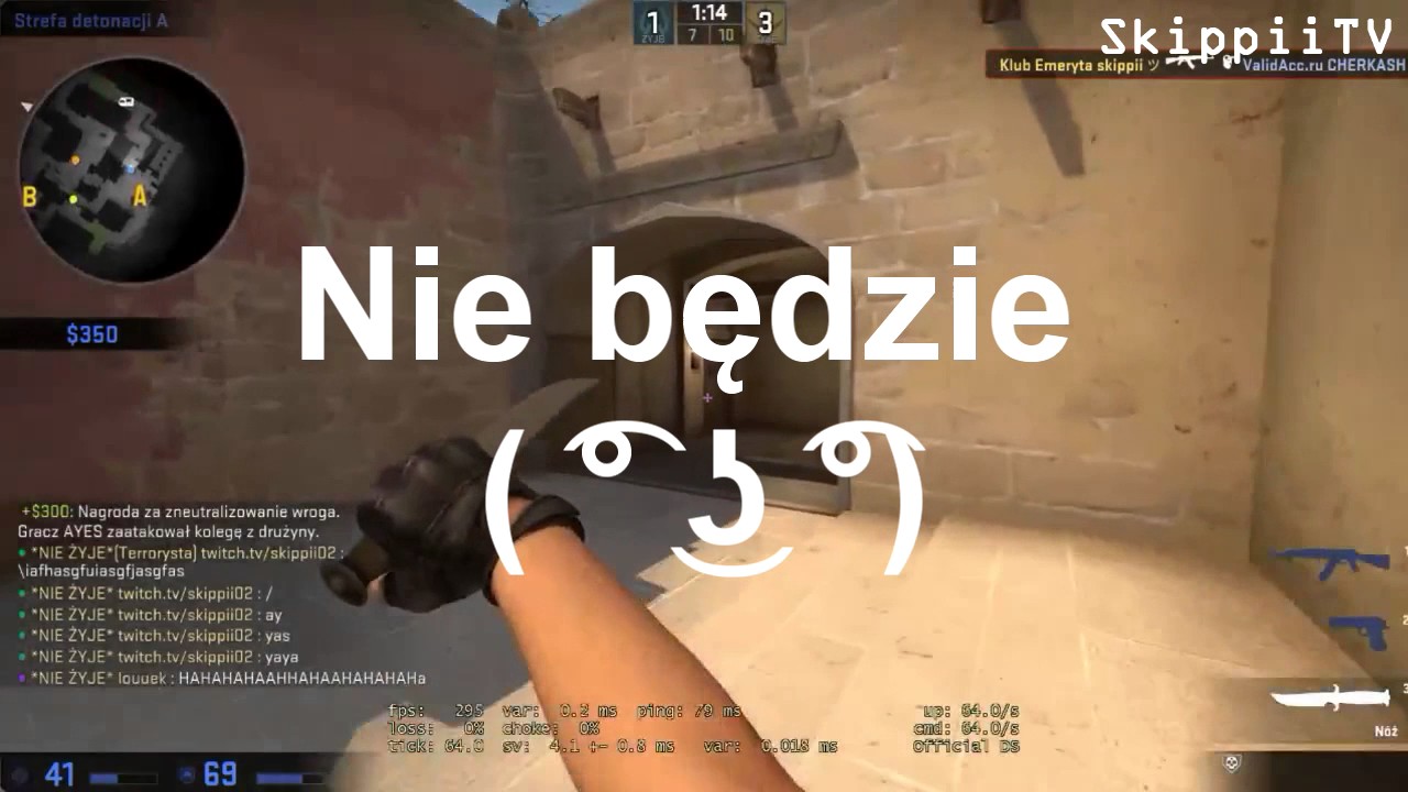 Skippii Stream #1 - Wyborne Oddshoty !