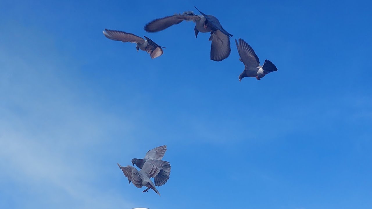 👋👋
