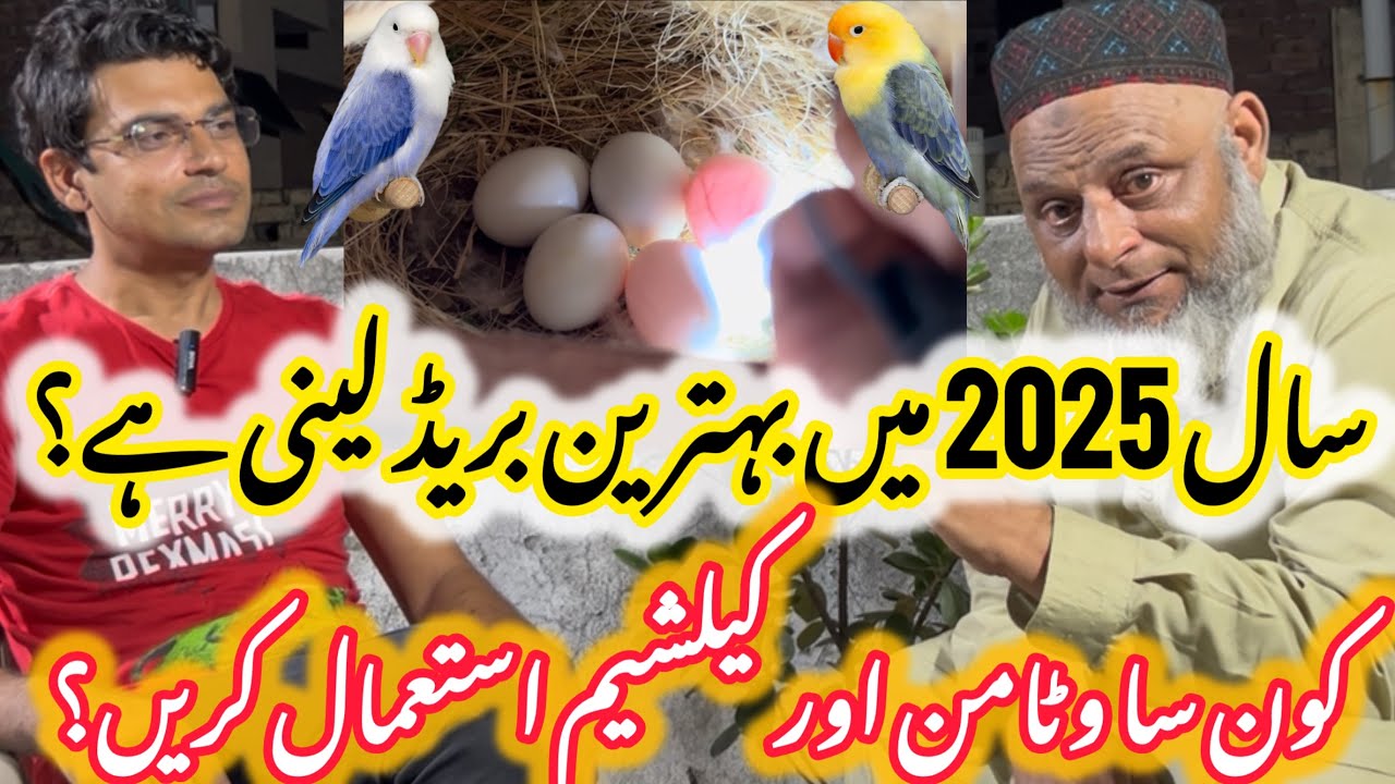 Best multivitamin and calcium Combination for birds