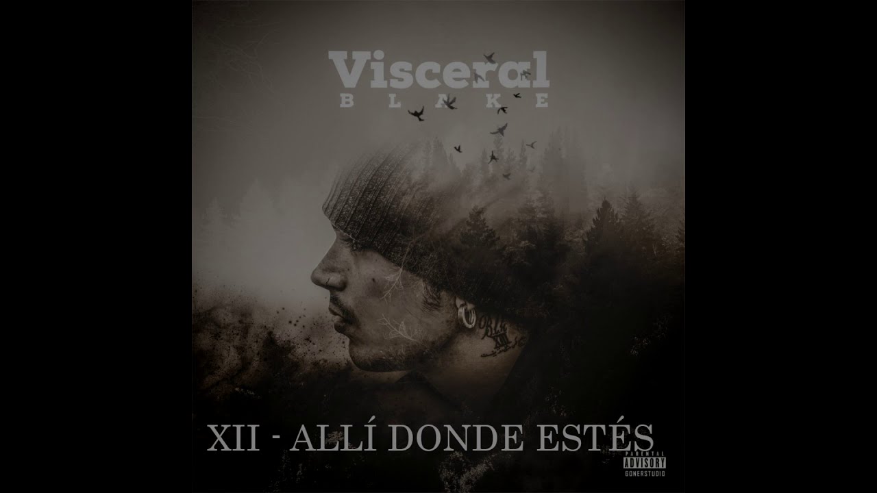BLAKE - ALLÍ DONDE ESTÉS (XII) (LETRA) #VISCERAL