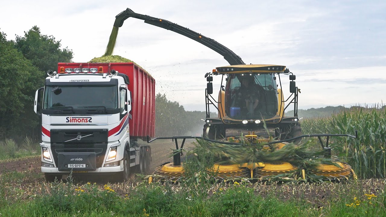 Mais Silage 2025 | New Holland FR550 + Truck | NAP | NLR Agri