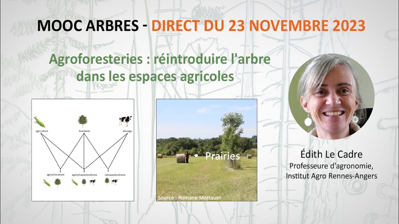 Agroforesteries : réintroduire l'arbre dans les espaces agricoles / Edith le Cadre