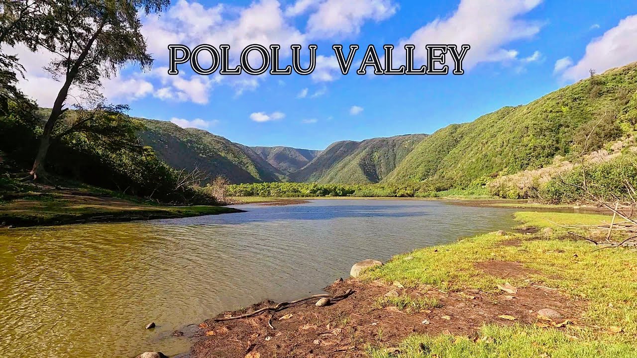 Hiking Pololū Valley | Stunning Coastal Views & Lush Trails | Big Island, Hawaii🌿🌊