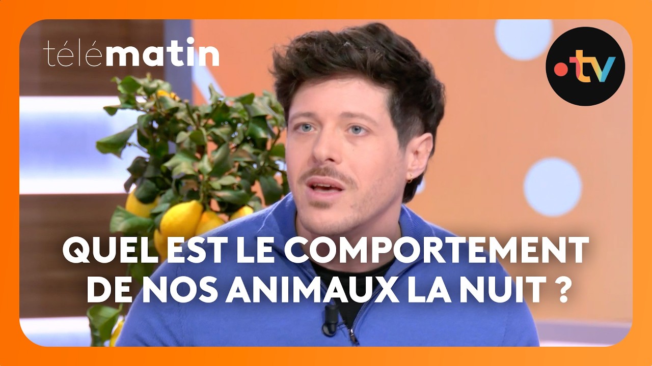 Pourquoi nos animaux perturbent-ils notre sommeil ?