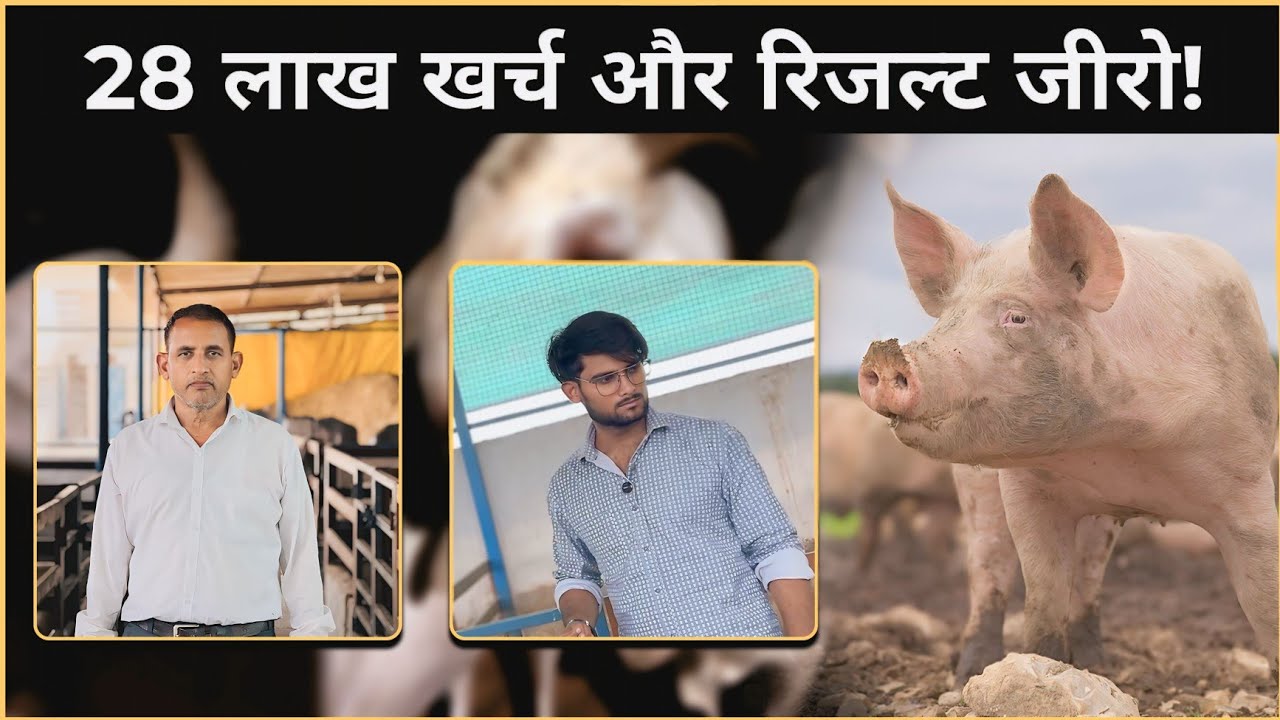 Pig Farming में नुकसान से बचना है? ये देखो! @BhartiyaKisaan_bk | Pig Framing Ki Best Tips
