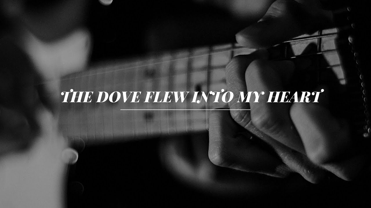 The Dove Flew Into My Heart