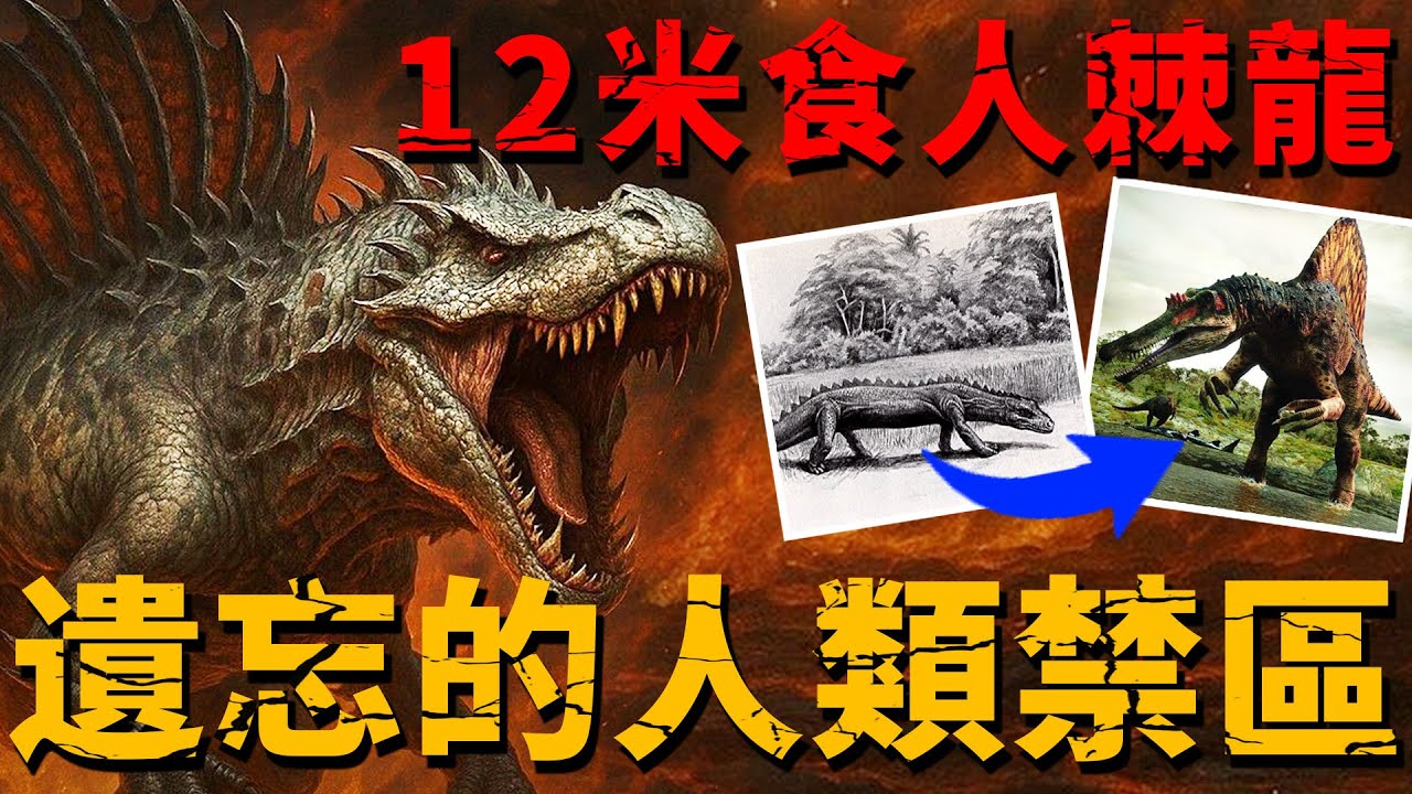 非洲叢林隱藏著12米的食人棘龍？一個被遺忘的人類禁區！剛果「大蟒蛇」 恩古馬-摩內內究竟是什麽？【未知生物|恐龍|非洲】