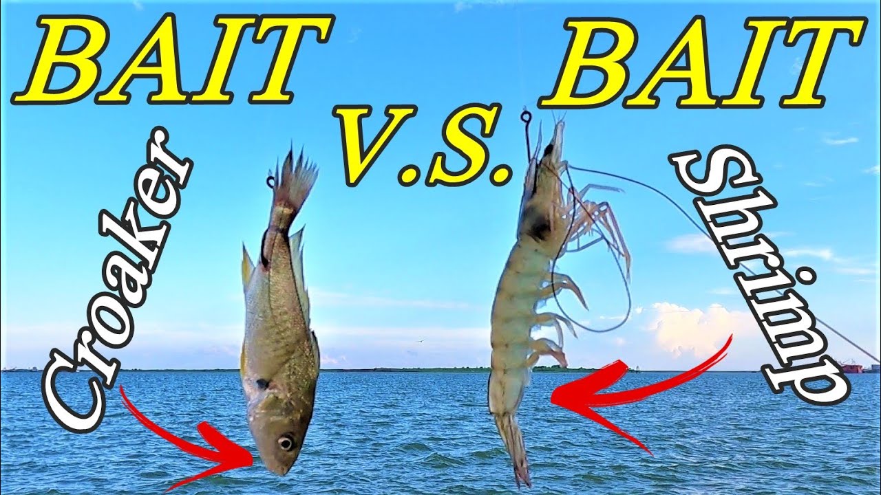 BEST BAIT Shrimp or Croaker | HEAD TO HEAD Battle | TEXAS CITY DIKE Showdown !!