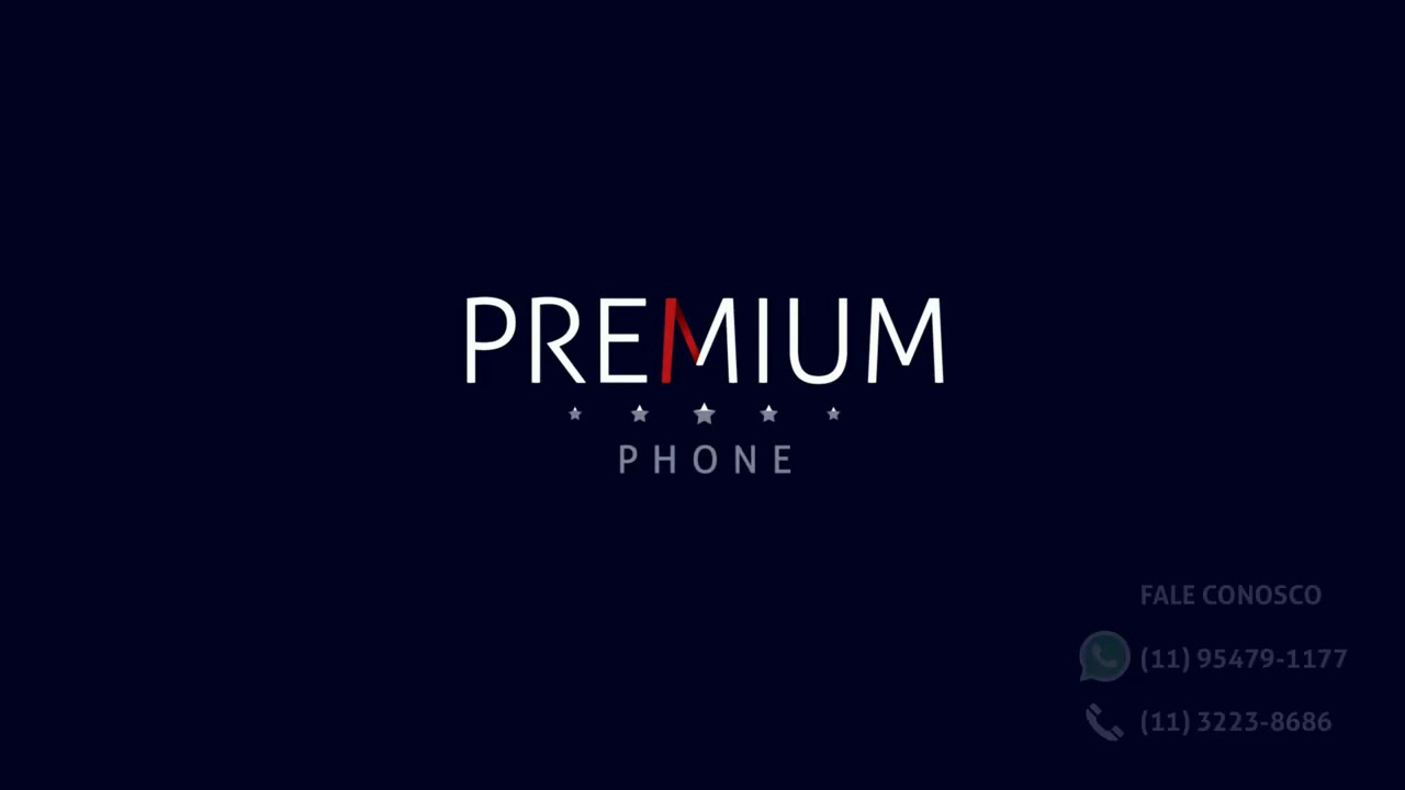 PREMIUM PHONE NA GLOBO: PEQUENAS EMPRESAS & GRANDES NEGÓCIOS