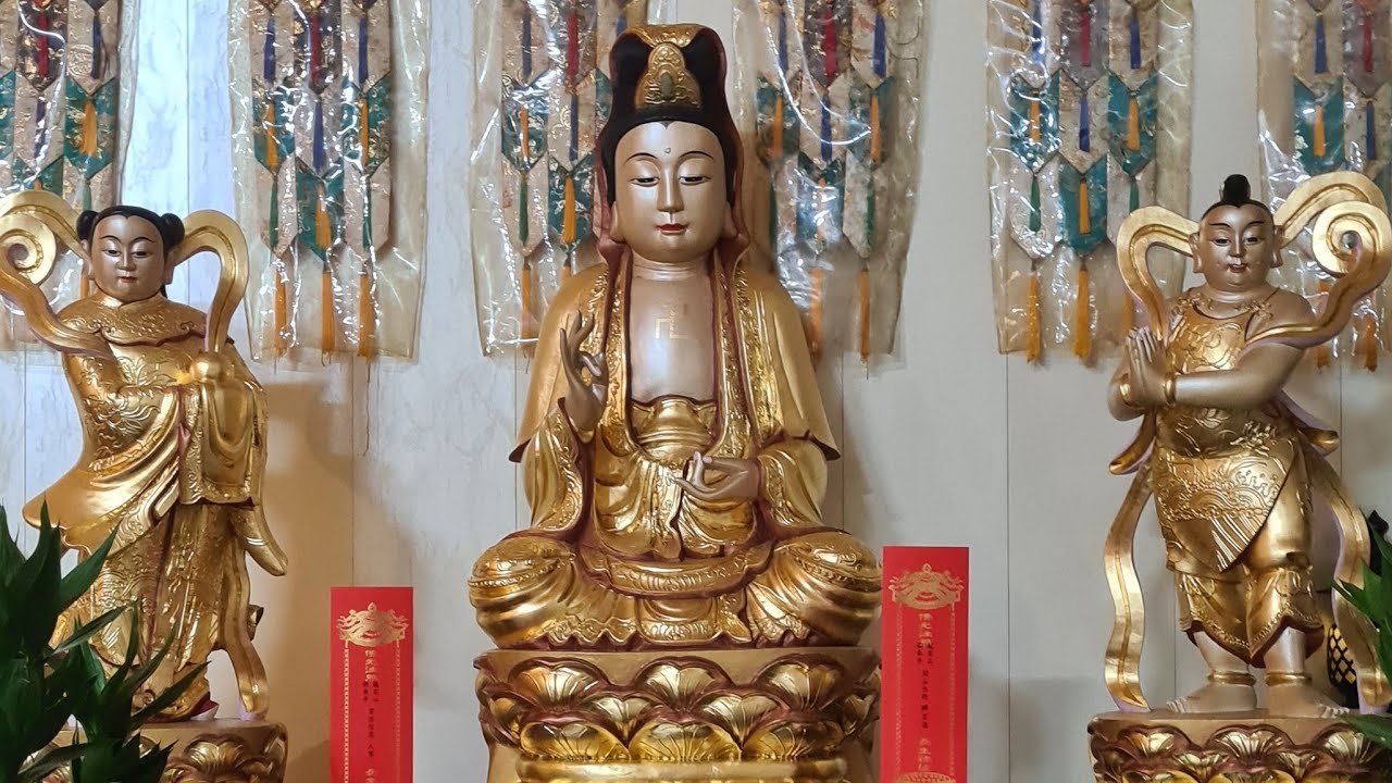 「釋禪定」正在早課開始直播！