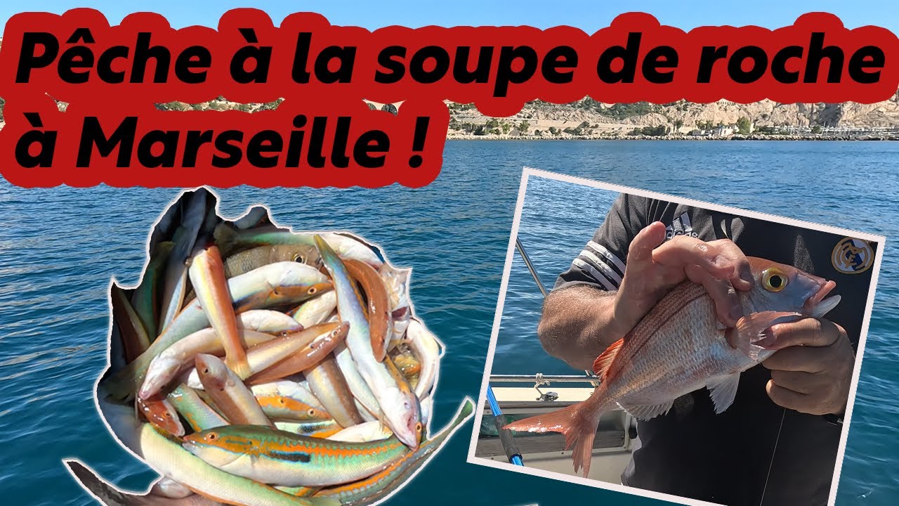 Pêche sur roche à Marseille ! Magnifique sortie - Juin