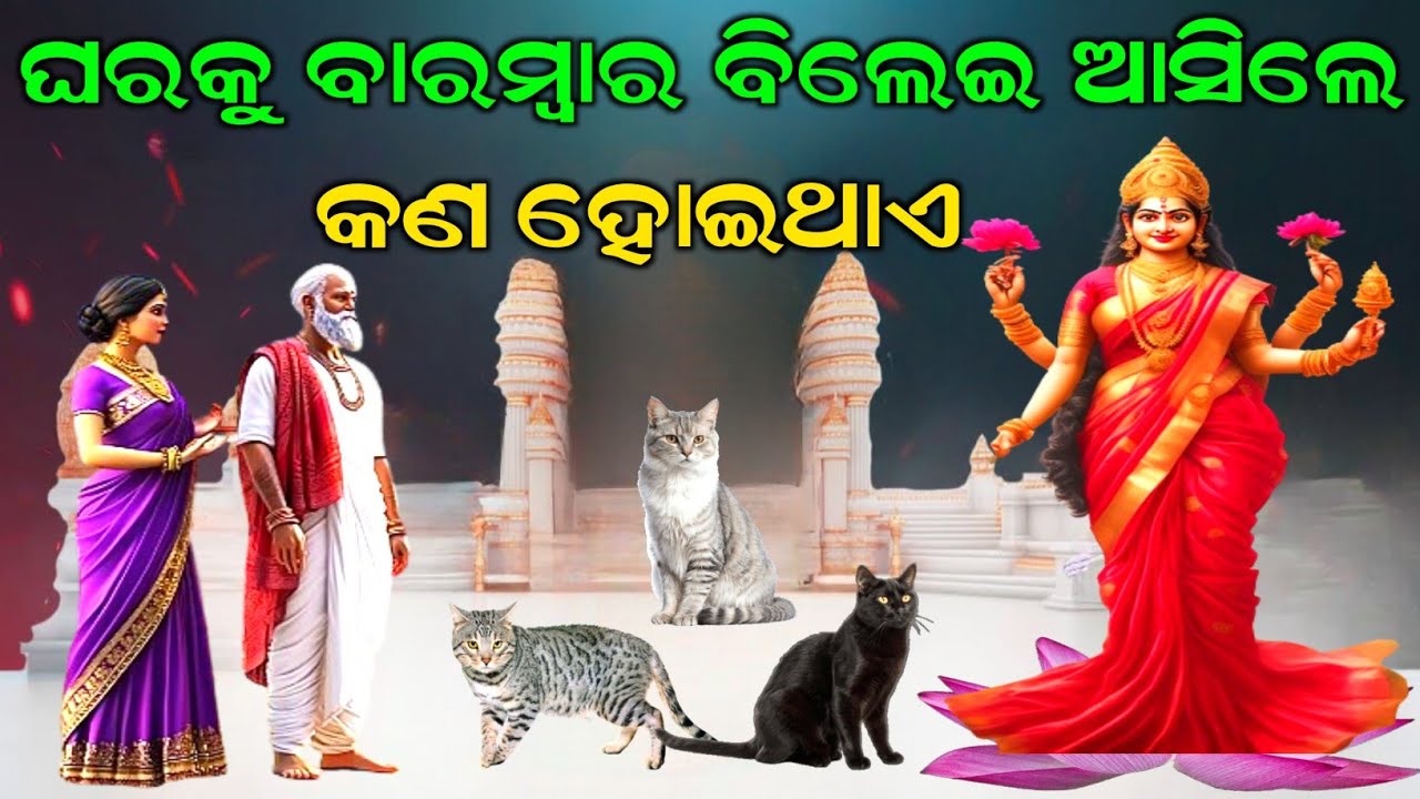 ମାଁ ଲକ୍ଷ୍ମୀ କୁହନ୍ତି ଘରକୁ ବାରମ୍ବାର ବିଲେଇ ଆସିଲେ କଣ ହୋଇଥାଏ | Shri Krishna | Odia | #laxmi