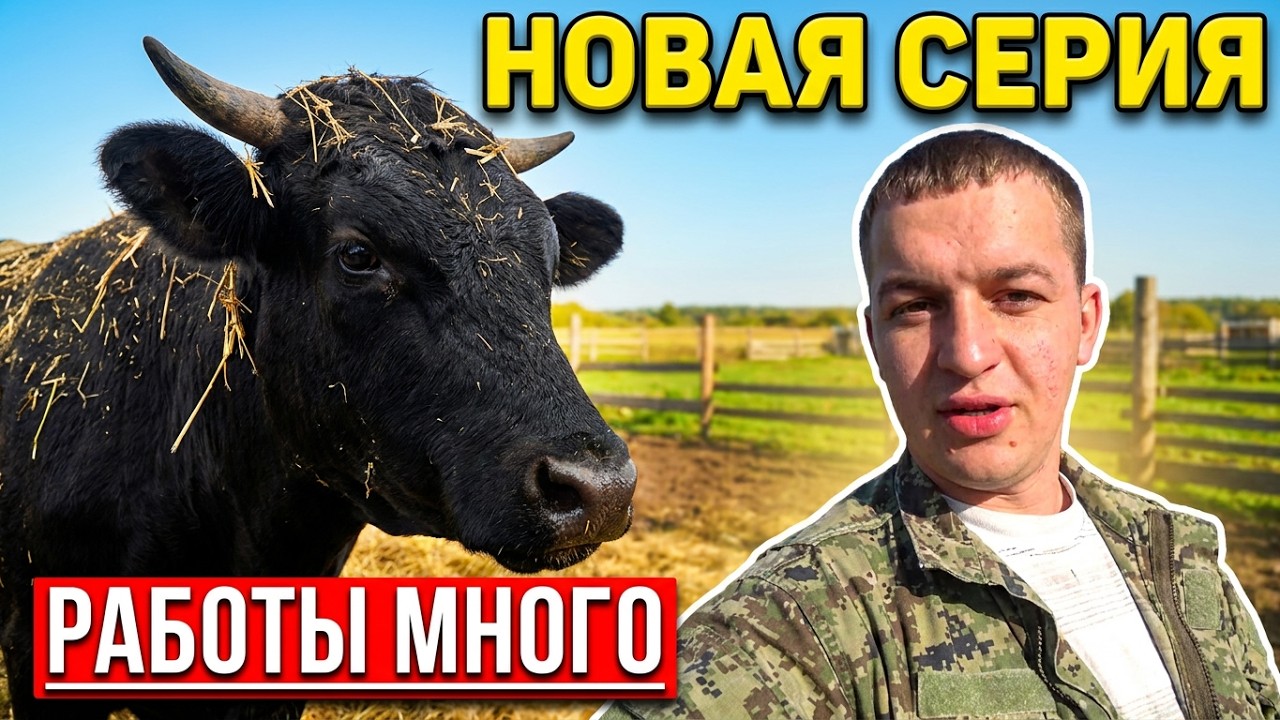 Жизнь в селе бурлит работы много по хозяйству найдётся скучать не придётся!