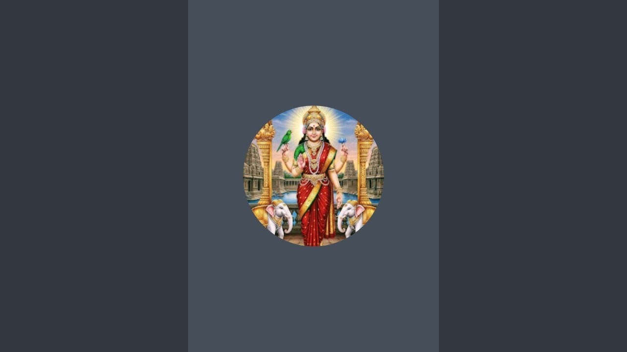 ரோஜா மலர்கள் சேனல் நேரலையில்!