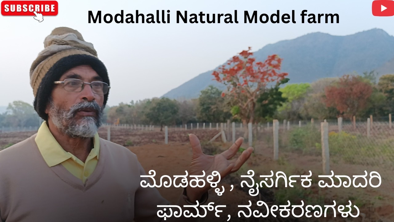 Modahalli Natural Model farm, ಮೋಡಹಳ್ಳಿ ನೈಸರ್ಗಿಕ ಮಾದರಿ ಫಾರ್ಮ್‌ನ ನವೀಕರಣಗಳು ||