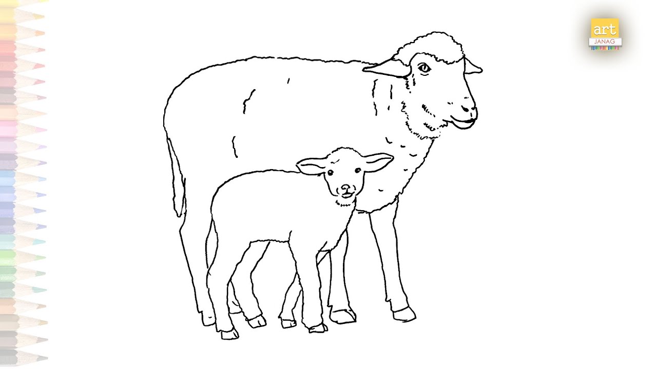 Baby sheep and mother drawing easy | How to draw Sheep drawing step by step | easy drawings videos