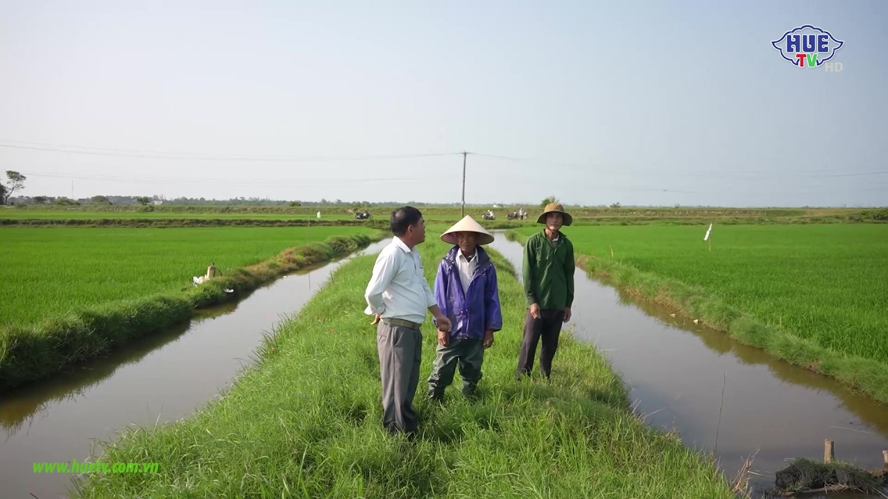 Nông thôn ngày mới (26/02/2026)