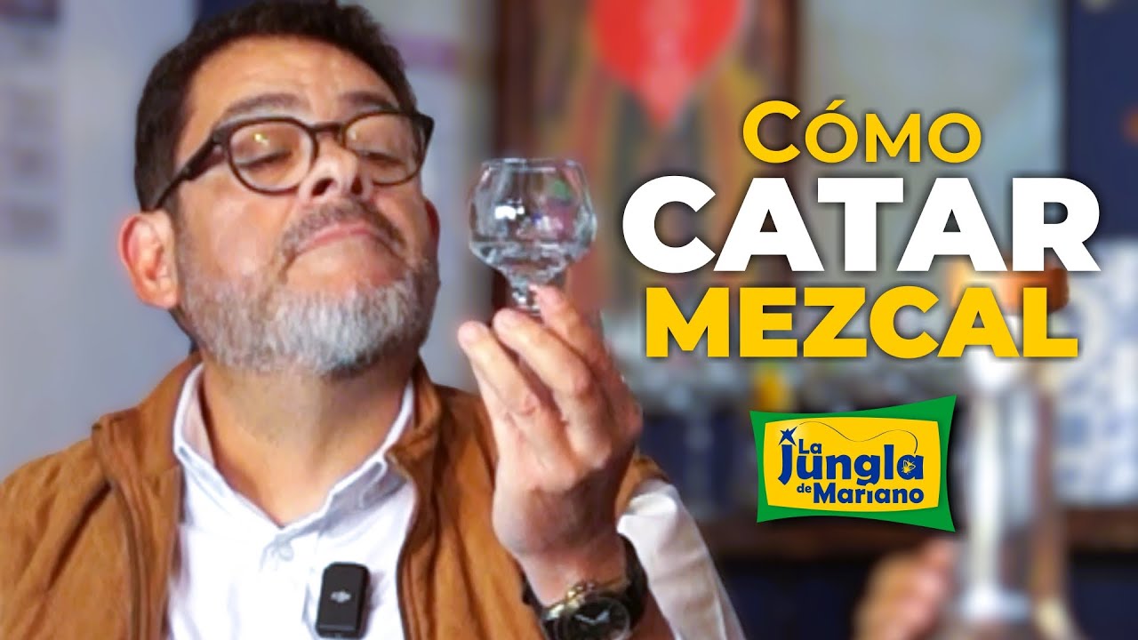 ¿Sabes cómo CATAR Mezcal?