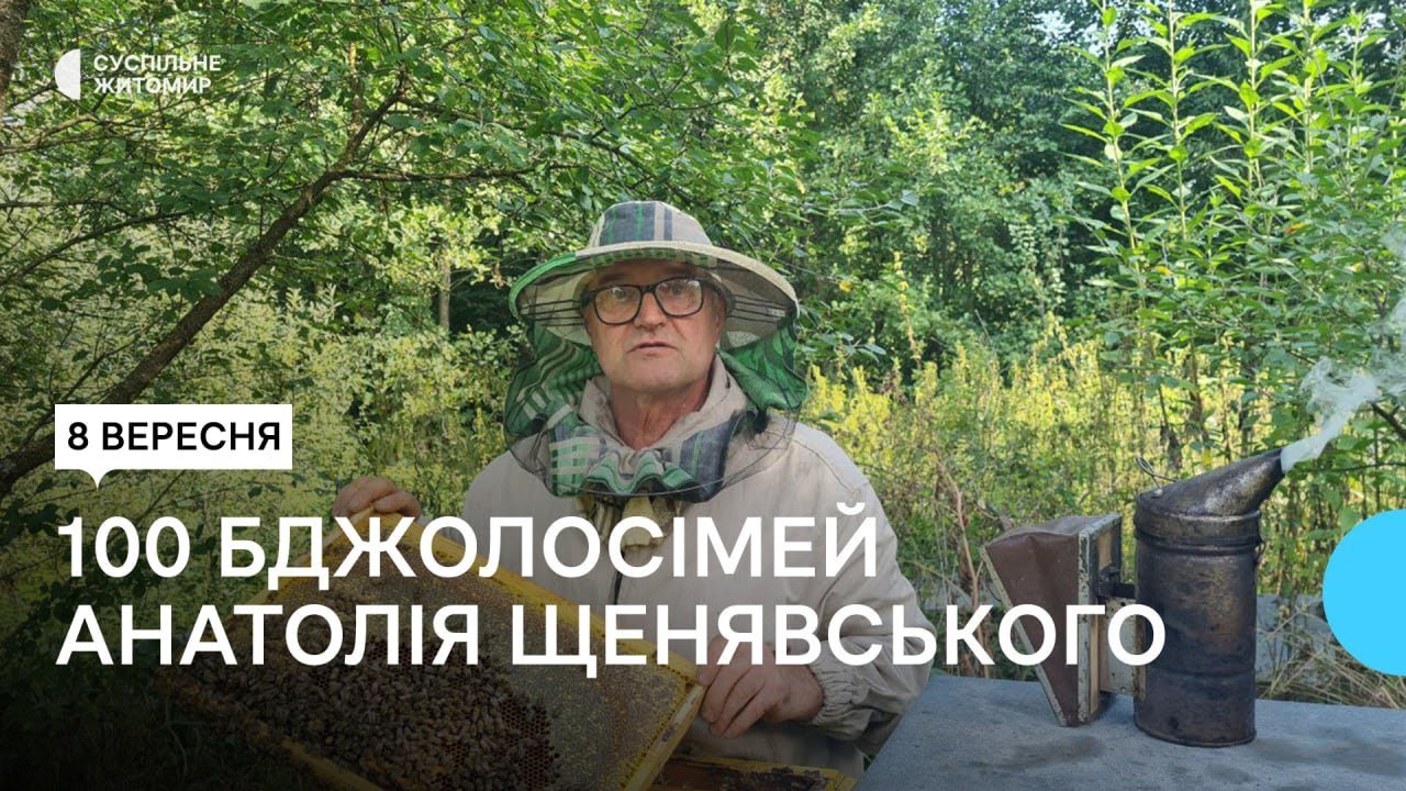Як житомирянин Анатолій Щенявський утримує близько сотні бджолосімей