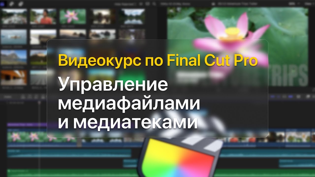 🗄 Управление медиафайлами и медиатеками — курс уроков по Final Cut Pro