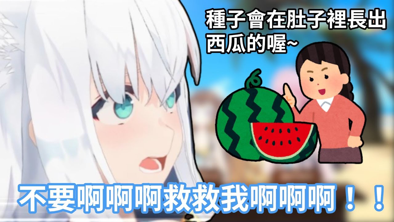 白上吹雪小時候被父母嚇唬說吞下西瓜種子的話就會在肚子裡長出西瓜，讓小狐狸信以為真哭了出來www【hololive中文字幕精華】