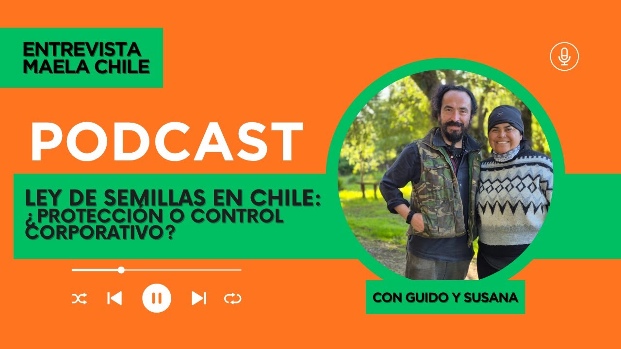 Ley de Semillas en Chile: &iquest; Protecci&oacute;n  o Control Corporativo?