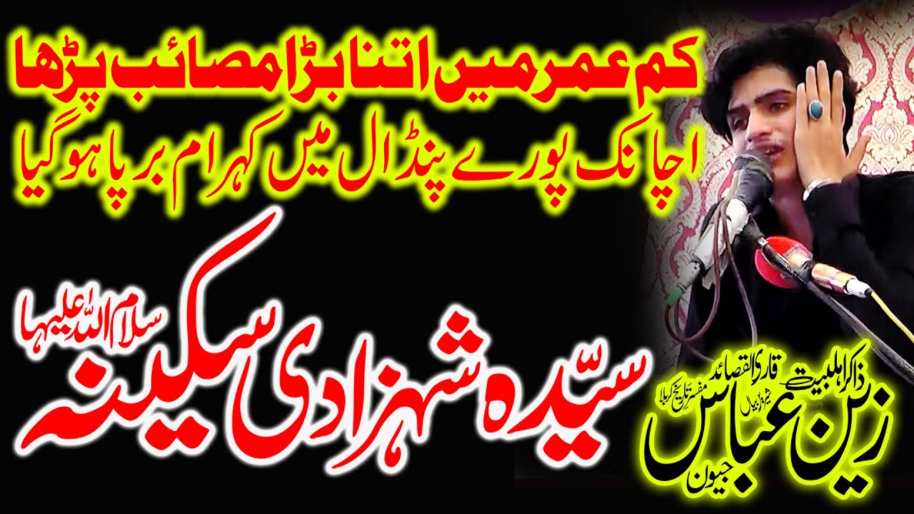 Zakir Zain Abbas Jivan Masab Bibi Sakina  s a  Yadgar Majlis 2023