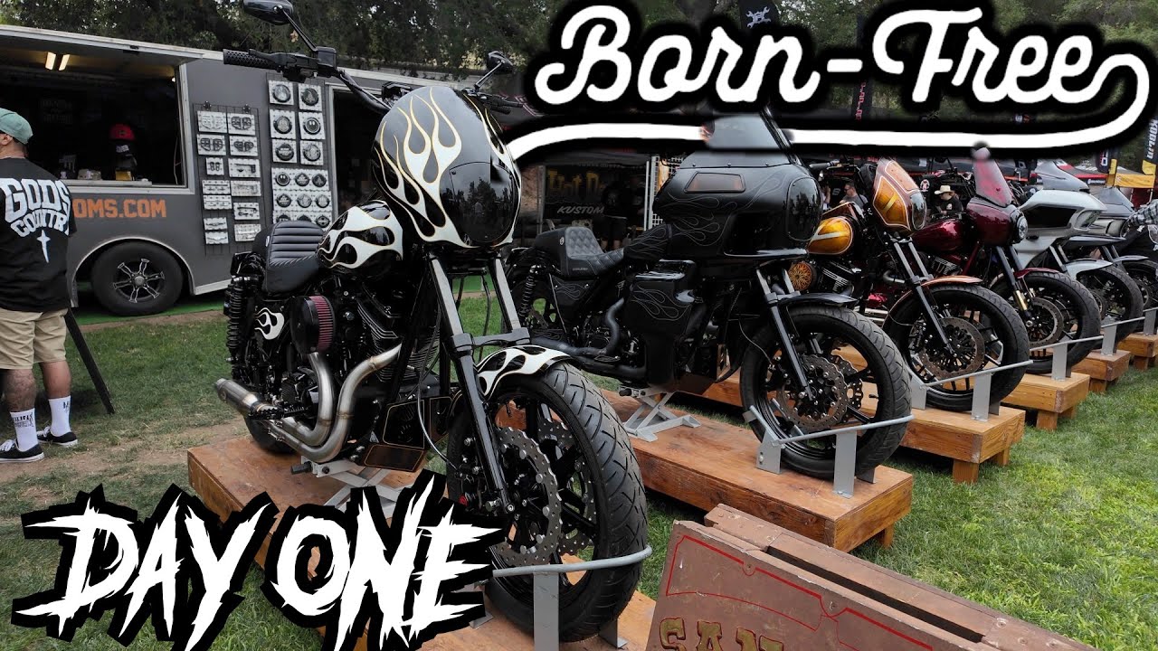 BORN FREE 16 / DAY ONE