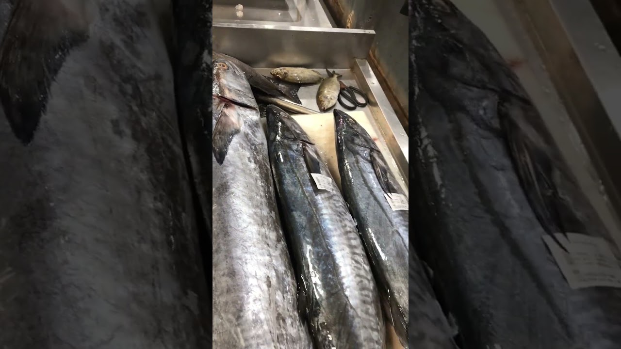 C&aacute; Thu tươi xanh 😜