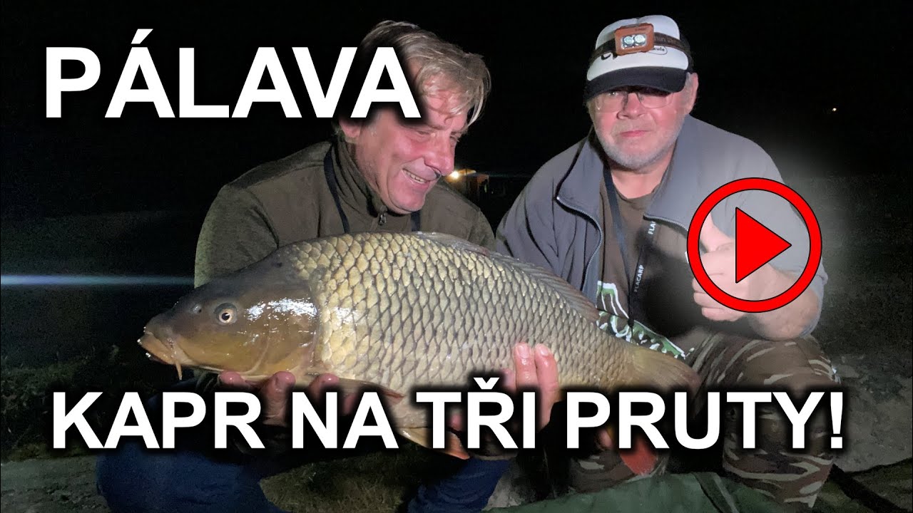 PÁLAVA carp fishing 2023 lov kapra karpfen angeln #fishhobo #fishing #kaprarina