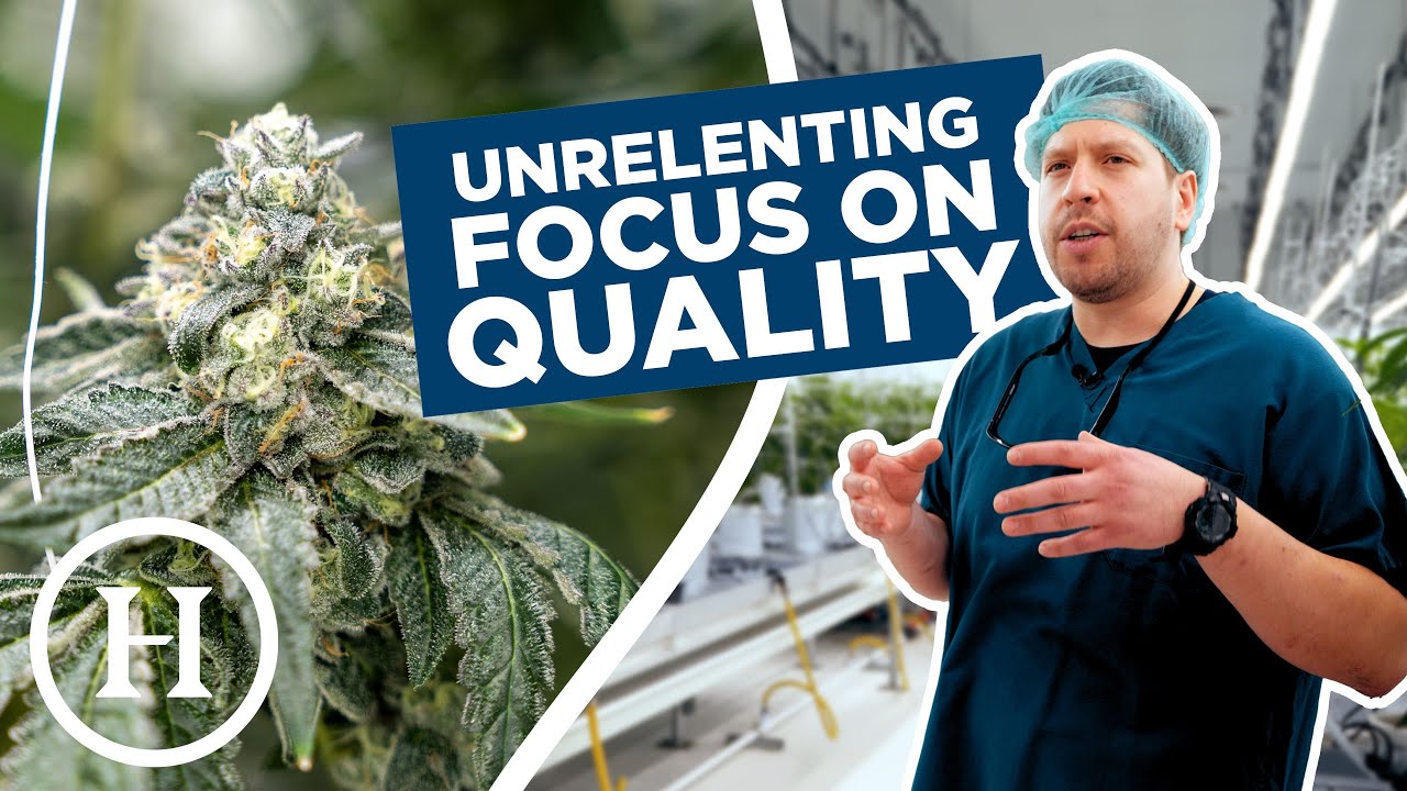 Fluence Innovator | Holistic Industries Tackles Premium Quality With Cutting Edge LED Technology
