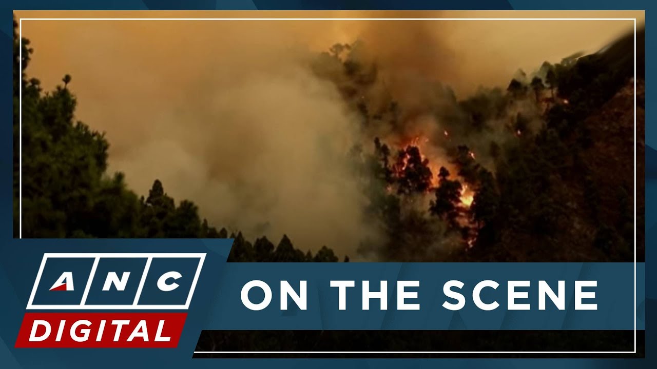Firefighters battle wildfires throughout night on Spain's Tenerife island | ANC