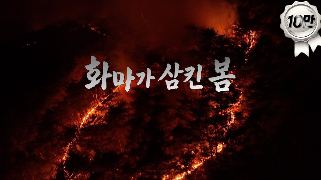 [경북 산불 재난특집] 화마가 삼킨 봄 | 250328 #경북산불