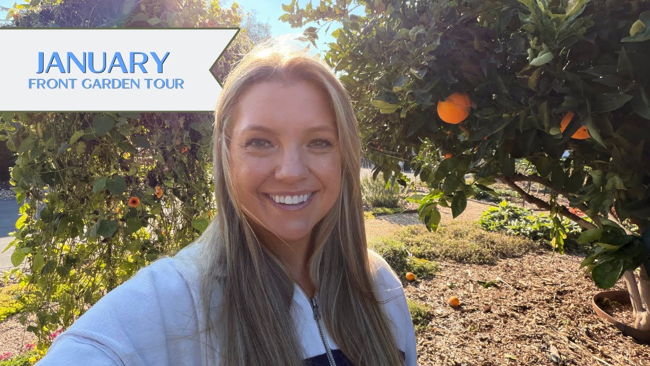 A January Garden That's Getting Better Every Year 🌿 January Front Garden Tour