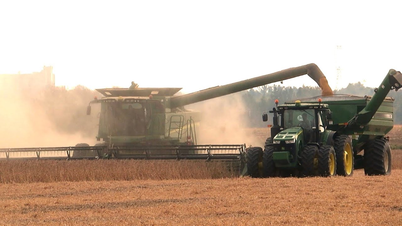 Harvest 2023 | John Deere S670 Combine Harvesting Soybeans | Ontario, Canada
