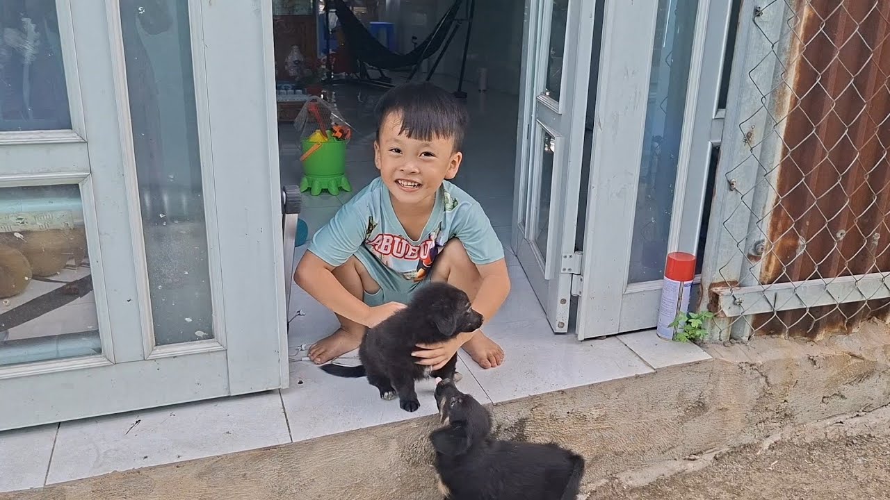 Chuột Mê Chơi Với Mấy Chú Chó Con Không Chịu Vô Nhà #ngocdieuvlog123 #chuotmechoivoichocon