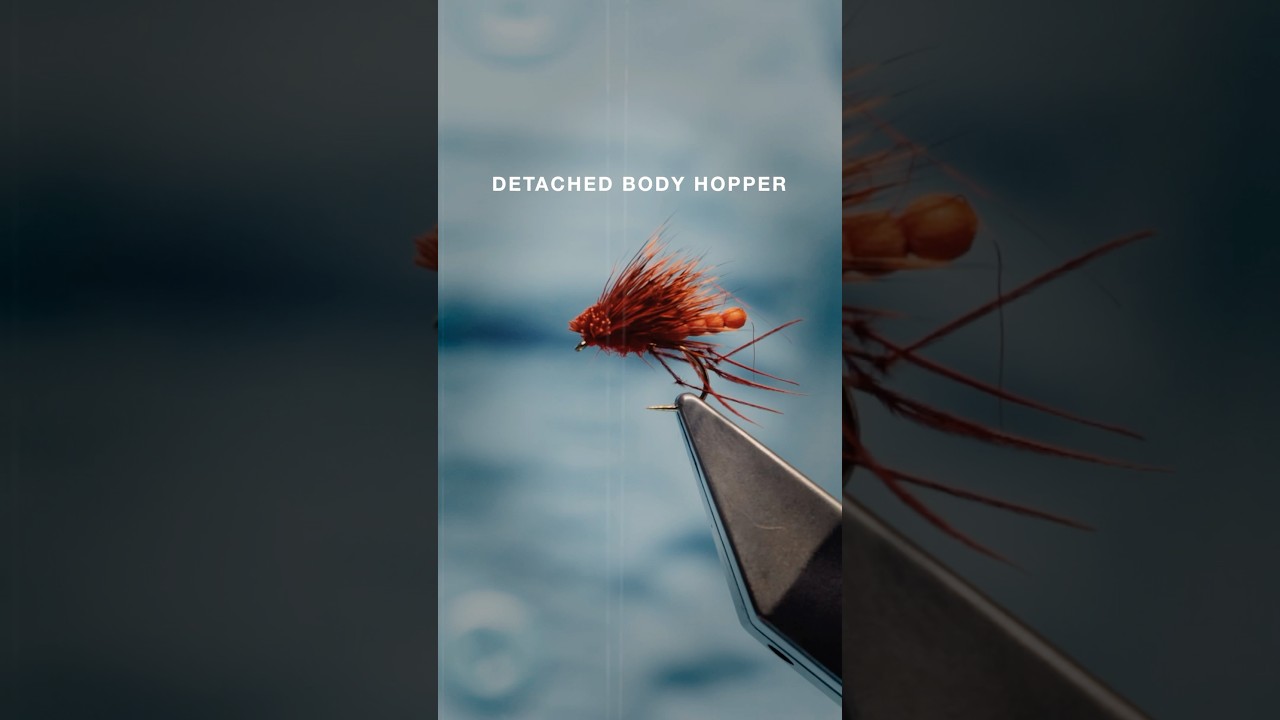 Tie a detached body hopper with Signature Tyer @DavieMcPhail. It&rsquo;s an excellent summer trout fly!