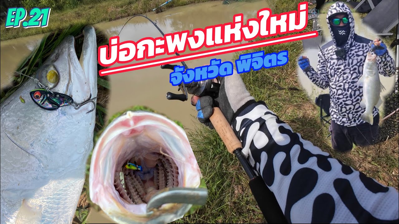 EP.21: กะพงบุฟเฟ่ เปิดซิ่งบ่อใหม่ จ.พิจิตร 