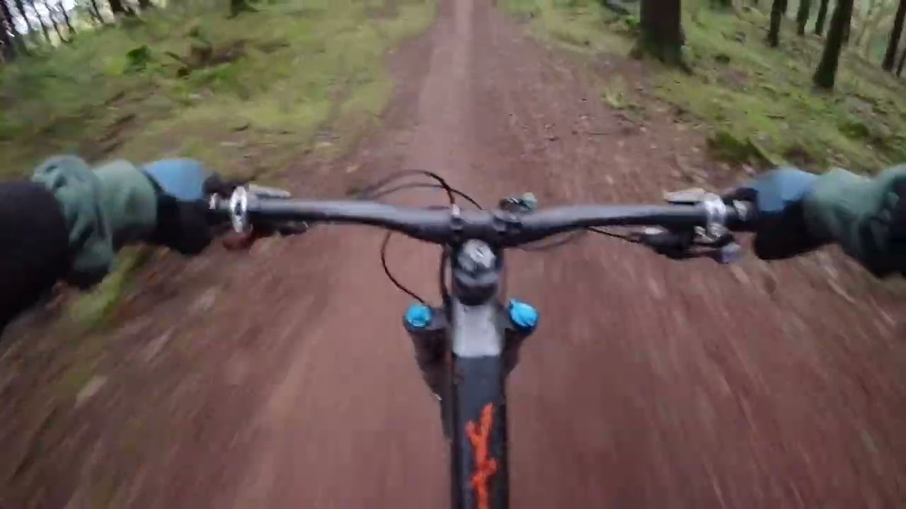 Forest of Dean MTB￼