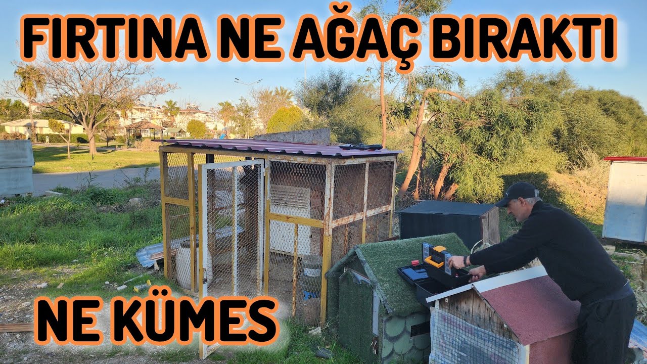 G&ouml;khan Abinin K&uuml;mesi Tadilat Yapıyoruz Fırtına Bizi Bitirsi